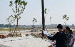 Thanh Hóa: Phải nộp tiền sử dụng đất trong 30 ngày sau khi trúng đấu giá