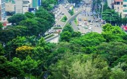 Những địa điểm vui chơi, giải trí tại quận Tân Bình không nên bỏ lỡ