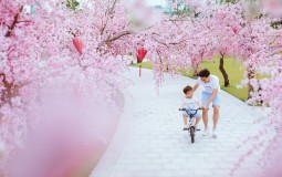 Có một thành phố “Tây” ở phía Tây thành phố
