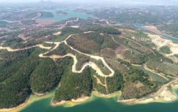 Lâm Đồng: Siêu dự án của Sài Gòn - Đại Ninh "chiếm" đất rừng, thoát án thu hồi