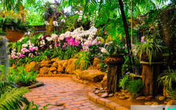 Thiết kế sân vườn đẹp đơn giản ở nông thôn và thành phố