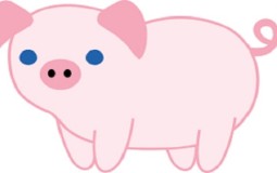 Góc tư vấn: Nam nữ sinh năm 2019 mệnh gì, tuổi con gì?