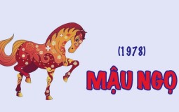 Hướng bàn làm việc tuổi Mậu Ngọ 1978 tốt xấu cho nam| nữ