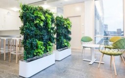 Tuyển tập 10+ mẫu nhà ống có sân vườn ở giữa đẹp và ấn tượng