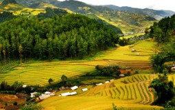 IDJ đầu tư Siêu dự án nghỉ dưỡng Kim Bôi 485ha, nâng tổng quỹ đất phát triển lên 885 ha