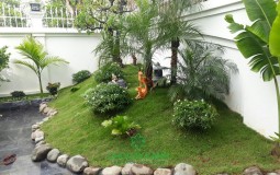Hướng dẫn trang trí tiểu cảnh sân vườn