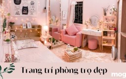 Bật mí cách trang trí phòng trọ đẹp, tối ưu không gian sống