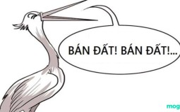 Cò đất là gì ? Cần có những kỹ năng gì để trở thành cò đất thành công?