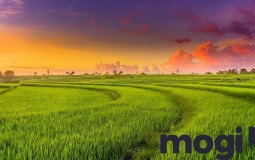 Đất HNK là gì? Một số lưu ý để đầu tư đất HNK hiệu quả 2022