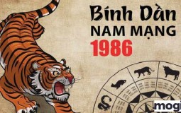 Tuổi Bính Dần sinh năm 1986 hợp với hướng nào?