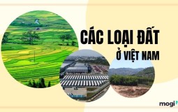 Các loại đất ở Việt Nam – Cách phân biệt loại đất