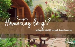 Homestay là gì? Kinh nghiệm kinh doanh homestay hiệu quả