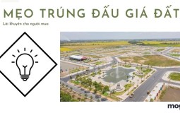 Mẹo trúng đấu giá đất thành công. Điều cần biết khi đấu giá đất