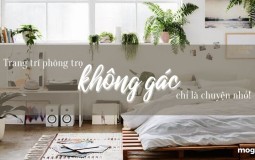 Decor phòng trọ không gác và 6 gợi ý giúp bạn tối ưu hóa không gian sống!