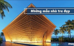 Nhà tre là gì? Những mẫu thiết nhà tre đẹp mang phong cách ấn tượng