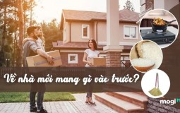 Dọn về nhà mới mang gì vào trước? Những điều cần biết khi dọn nhà