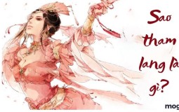 Sao Tham lang tốt hay xấu? Ý nghĩa lá số tử vi sao Tham lang