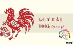 Sinh năm 1993 hợp màu gì, kỵ màu gì? Chọn trang sức, nội thất, nhà cửa phù hợp cho tuổi Quý Dậu 2022