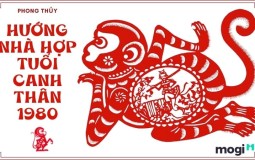 Tuổi Canh Thân 1980 hợp hướng nào? Hướng nhà hợp tuổi canh Thân