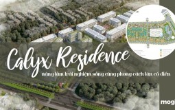Calyx Residence – Nâng tầm trải nghiệm sống với phong cách tân cổ điển