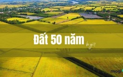 Đất 50 năm là gì? Có thể xây nhà trên đất 50 năm không?