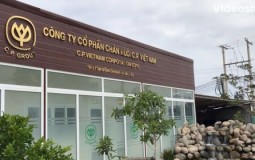 Bạc Liêu: Công ty CP Chăn nuôi C.P. Việt Nam bị thu hồi gần 2.500m2 đất
