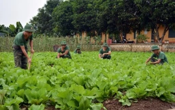 Các trường hợp thu hồi sổ đỏ cần biết 