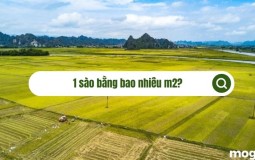 1 sào bằng bao nhiêu m2? Sự khác nhau ở Bắc, Nam và Trung Bộ