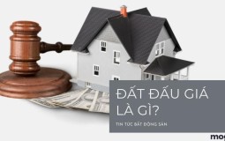 Đất đấu giá là gì? Những điều cần biết trước khi mua đất đấu giá