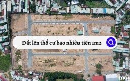 Đất lên thổ cư bao nhiêu tiền 1m2 – Giá chuẩn xác nhất