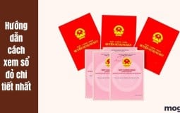 Hướng dẫn cách xem sổ đỏ dễ hiểu, chính xác – bạn nhất định phải biết!