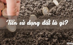 Tiền sử dụng đất là gì? Một số trường hợp miễn giảm tiền sử dụng đất