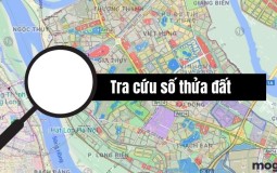 Tra cứu số thửa đất – Cách tra cứu thông tin thửa đất nhanh nhất