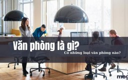 Văn phòng là gì? Khám phá một số loại hình văn phòng phổ biến hiện nay