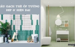 22+ mẫu gạch thẻ ốp tường HOT đa dạng phong cách