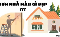 Sơn nhà màu gì đẹp? Top 11 màu sơn đẹp, tinh tế cho ngôi nhà