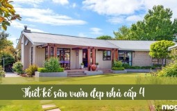 Thiết kế sân vườn đẹp nhà cấp 4 – Những nguyên tắc vàng trong thiết kế