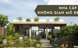 Top 15+ mẫu nhà cấp 4 không gian mở đẹp đang dẫn đầu xu hướng