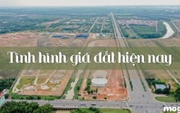 Tình hình giá đất hiện nay – Vì sao đất nền tăng giá?