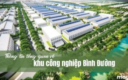 Khu công nghiệp Bình Đường và một số thông tin mới nhất 2022
