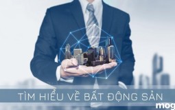 Bất động sản là gì? Đặc điểm và phân loại bất động sản