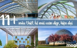 Bắt kịp xu hướng với 11+ thiết kế mái vòm đẹp, hiện đại