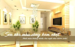 Sơn nhà màu vàng kem nhạt – Phối màu thông minh cho ngôi nhà thêm xinh!