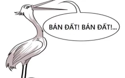 Nhận diện 8 chiêu lừa đảo trong mua bán nhà đất để tránh mất tiền oan
