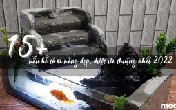 15+ mẫu hồ cá xi măng đẹp, tạo không gian thư giãn cực chill