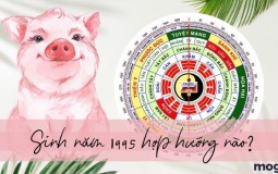 1995 hợp hướng nào? Chọn hướng nhà hợp phong thủy cho Ất Hợi