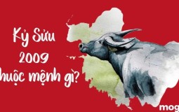 2009 mệnh gì? Chọn hướng nhà & màu may mắn theo phong thủy
