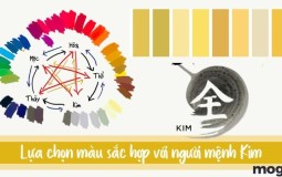 Mệnh Kim hợp màu & kỵ màu gì? Chọn màu hợp phong thủy mệnh Kim