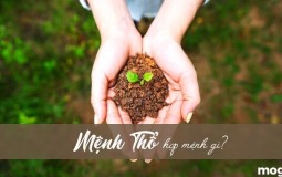 Mệnh Thổ hợp mệnh gì? Khắc mệnh gì trong công danh, tình duyên