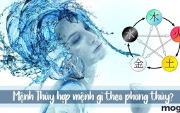 Mệnh Thủy hợp mệnh gì để làm ăn thuận lợi, thu hút tiền tài